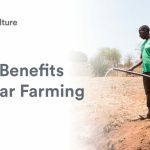 4 avantages clés de l'agriculture solaire